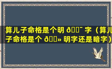 算儿子命格是个明 🐯 字（算儿子命格是个 🌻 明字还是暗字）